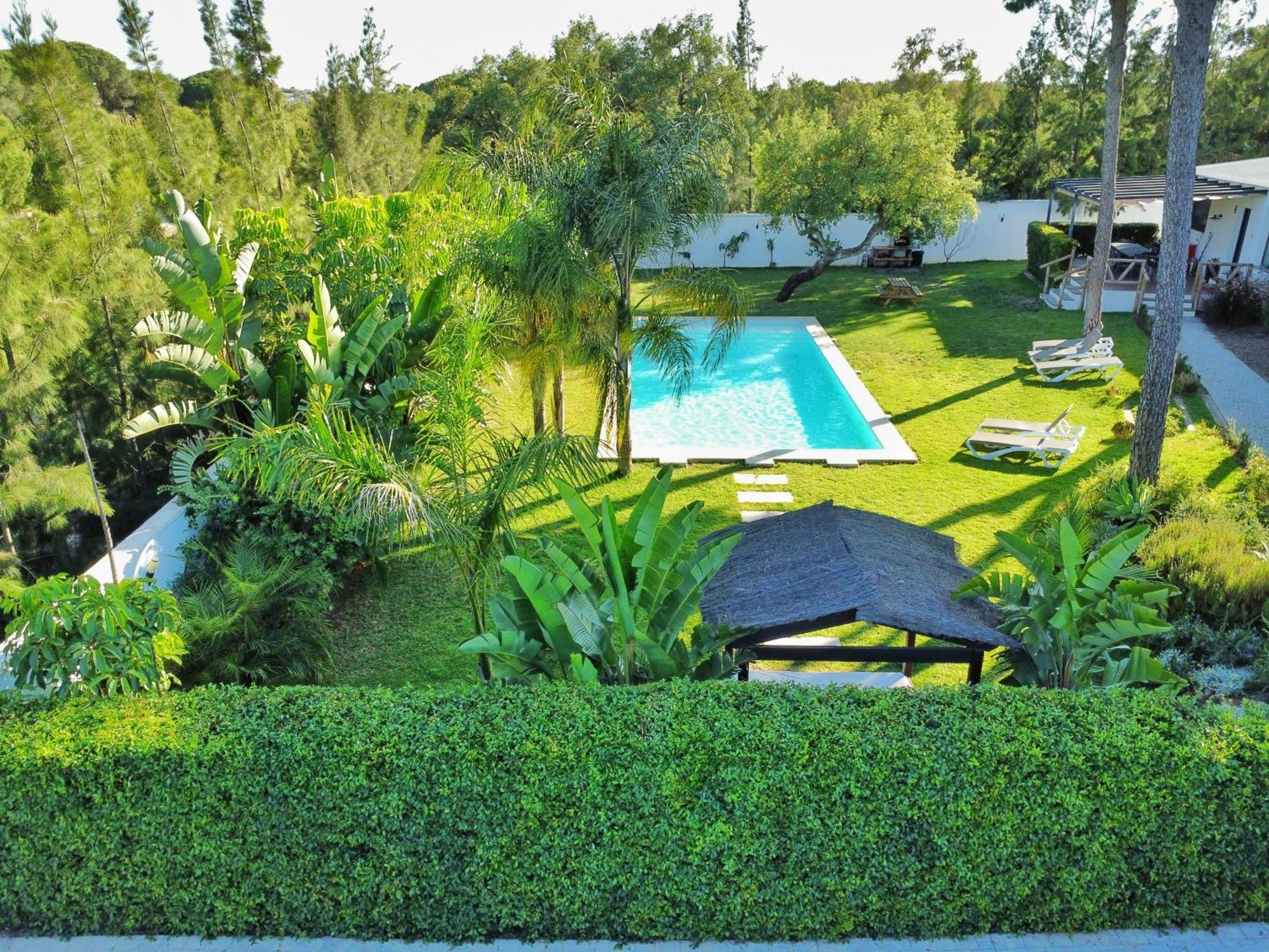Oasis Ideal Familias Y Grupos
