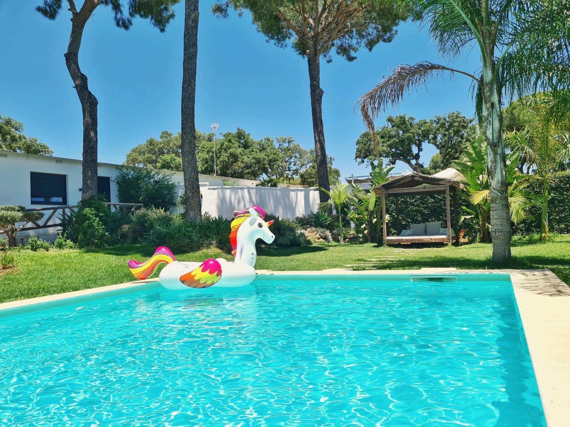 Oasis Ideal Familias Y Grupos *